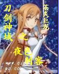 刀剑神域之黑夜之刃