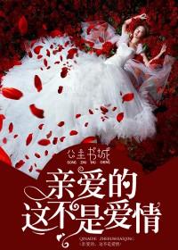 亲爱的这并不是爱情是什么歌