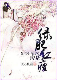 知否知否应是绿肥红瘦主题曲