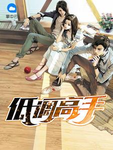 低调高手鸡蛋仔加盟怎么样