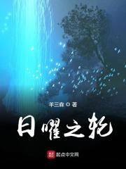 日耀碎片
