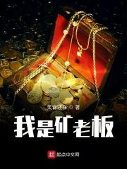 我是老板9