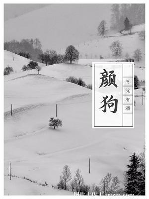 颜狗的春天豆瓣小组