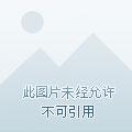 蝉声阵阵是成语吗