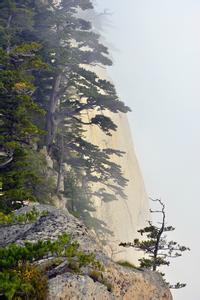 春水流啊流向东流啊流歌词