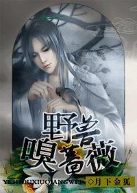野兽嗅蔷薇月下金狐讲的啥