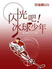 电视剧冰球少年