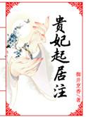 贵妃起居注txt