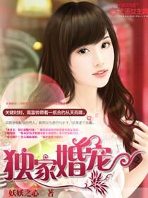 独家婚宠顾少完整版