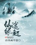 仙途缘起讲的是什么