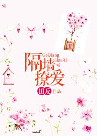 隔墙之爱免费阅读