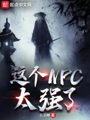 这个npc太强了 笔趣