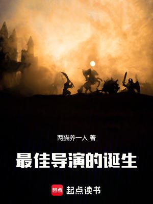 最佳导演的诞生  笔趣阁