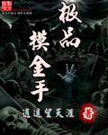 摸金手札免费阅读无广告