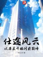 仕途之路风云