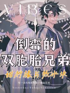 香克斯的双胞胎兄弟