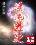 混沌进化史诗套属性是什么