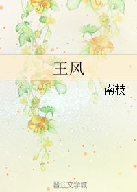 王风友