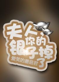 夫人你的银子掉了gl晋江