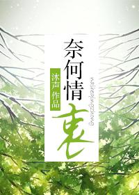 奈何情深的上一句是什么