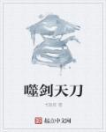 噬天剑诀