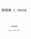 ultimiter~终结者