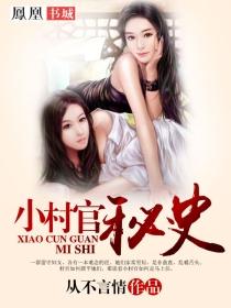 小村官秘史全文免费