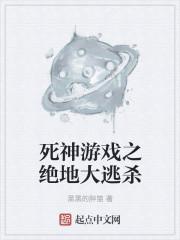 死神大型单机游戏
