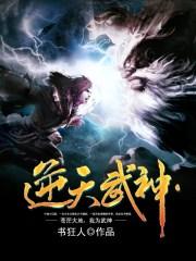 逆天武神全集完整版