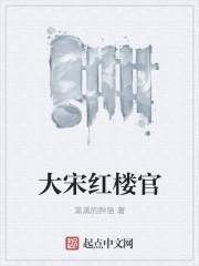 大宋宫词剧情介绍