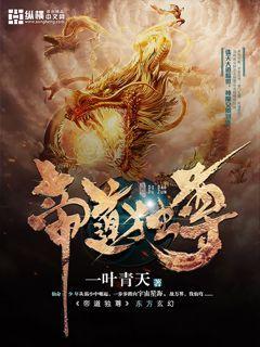 帝道独尊无弹窗