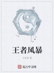 王者风暴脚本