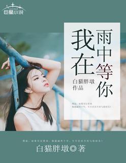 我在雨中等你电影插曲叫什么